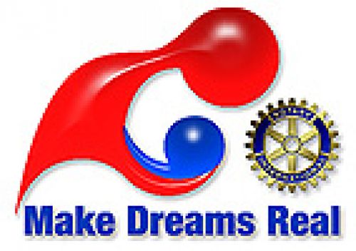 2008-09 Rotary International logo